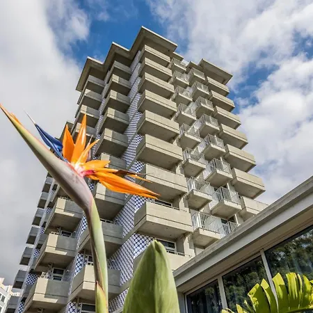 Allegro Madeira - Adults Only 4*